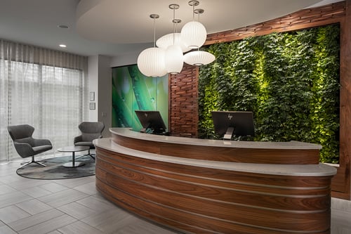 Guests love our living wall, a special touch at check-in.