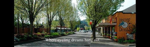 Lakeside Bicycles