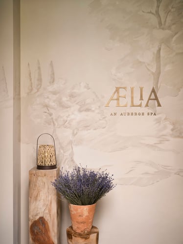 Entrance to Aelia Spa at Auberge Collection, featuring a hand-painted wall mural with the spa logo, a rustic wooden pedestal, and a pot of lavender in warm, natural light.