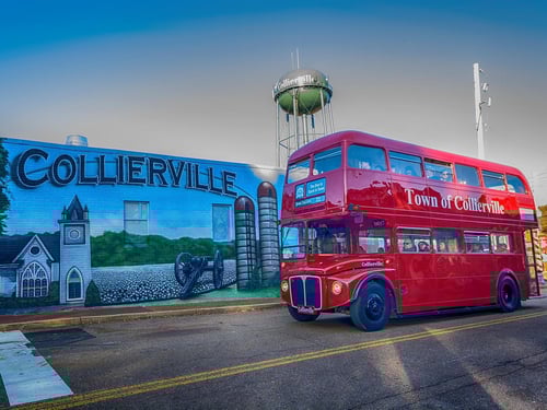 Mitzi Johnson, Attorney At Law