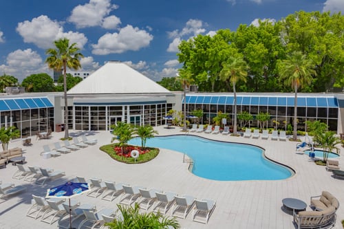 Lounge poolside under the palms at our sunny Kissimmee FL resort.