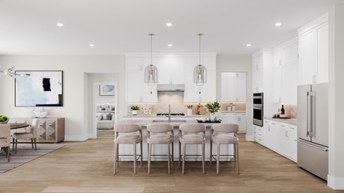Expansive, single-story or two-story open-concept designs