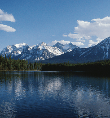 Snow-capped mountains under a clear blue sky reflect on a tranquil lake, bordered by dense green forest. The serene scenery conveys peace and majesty.