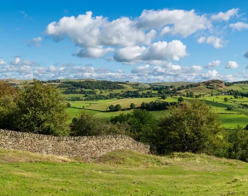 North West Rural Land Agents banner image mobile
