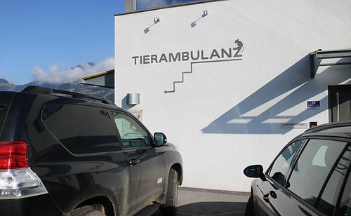 Tierarzt Fügen - Ihre Tierarztpraxis im Zillertal