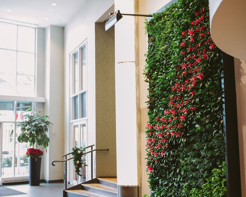 Living walls Greenville, SC
