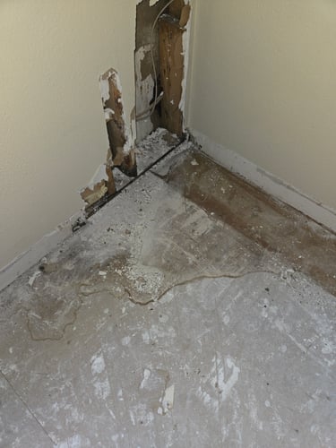 Mold Remediation Restoration 1 Reno-Tahoe