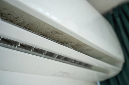 Mold in HVAC Systems