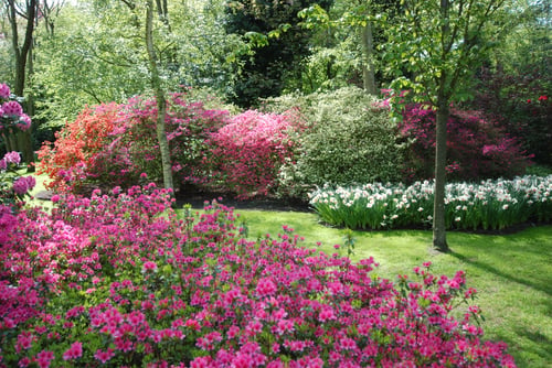 Die Gartenarchitektur Ing Eveline Vögerl in Ebenau Gartengestaltung