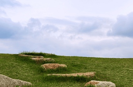 stones in field
