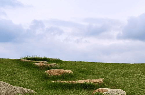 stones in field