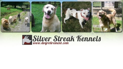 collage of dogs with company logo below