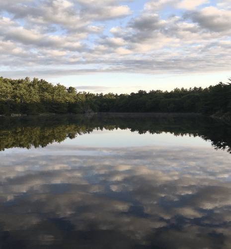 Calm lake reflecting trees and sky, symbolizing stability and natural beauty.