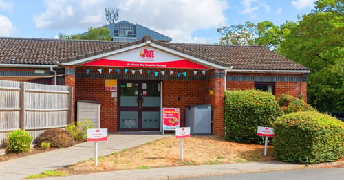 Busy Bees at St Albans City Hospital - Gallery Photo