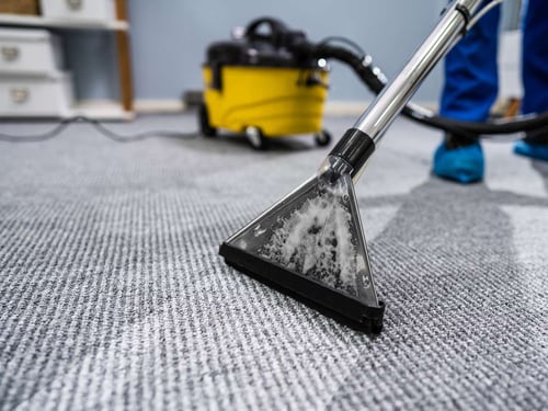 Professional carpet cleaning using hot water extraction machine removing dirt and stains from residential carpet.