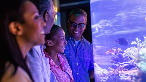 Seabase Aquarium