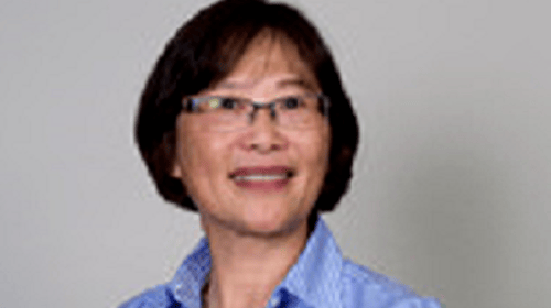 Ann Tu, Vice President, Wealth Management, Financial Advisor, Senior Portfolio Manager, Insurance Planning Director