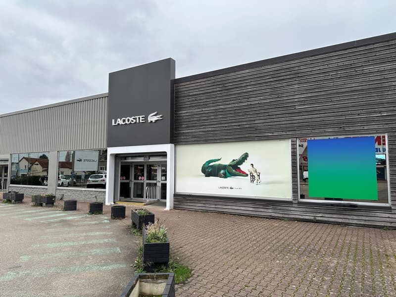 Overall View - Windows (Hero Image)