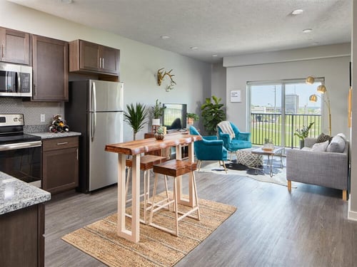 Cozy Living Room at Centerline Apartments, Omaha, 68106