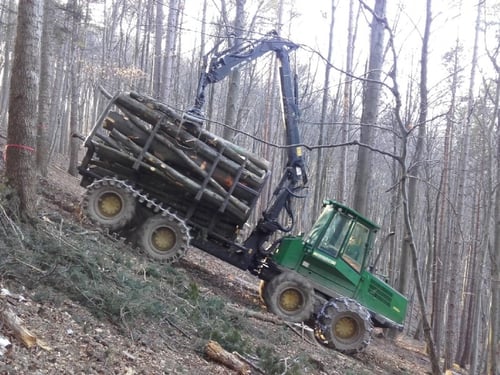 KUBA STEFAN Baumschlägerung u. -bringung in Weidling - Holztransport