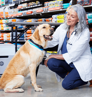Petco Redondo Beach Vaccination Clinic