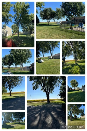 gallery picture