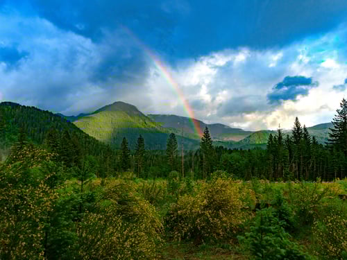A vibrant rainbow arcs across a cloudy blue sky over a lush green forest and distant mountains, creating a serene and hopeful atmosphere.