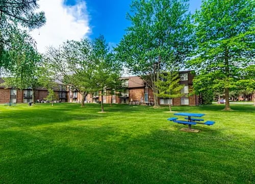 Spacious Picnic area at Drawbridge Apartments East in Harrison Township, MI 48045