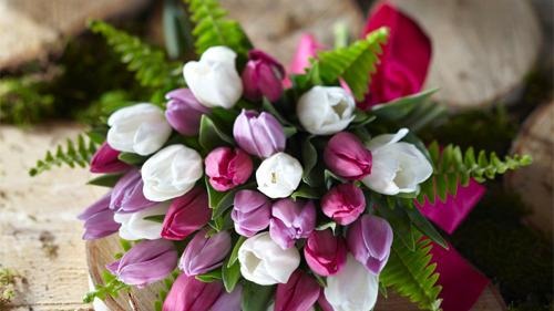 Selections for Every Occasion!