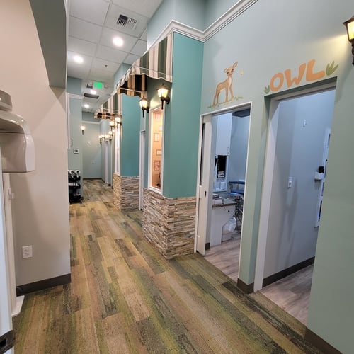 Spanaway Children's Dentistry office interior