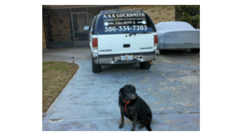dog in driveway with white service truck in background