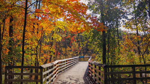 Low-maintenance living in a beautiful wooded enclave with access to the West Bloomfield Trail