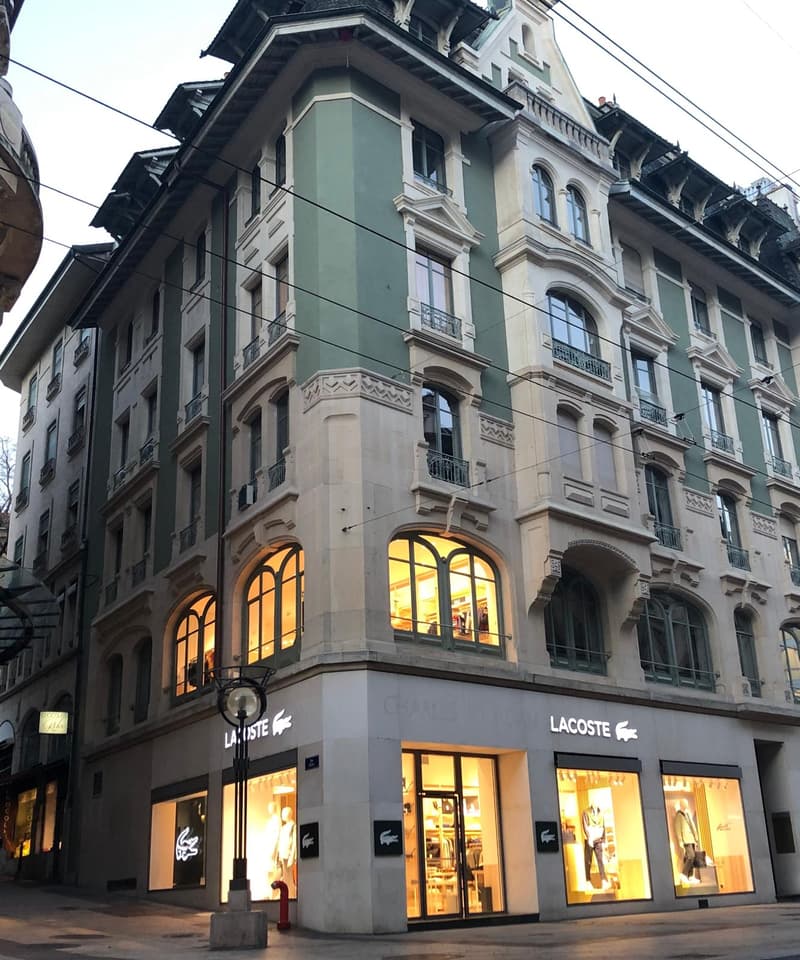 Overall View - Windows (Hero Image)