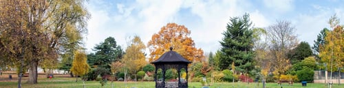 Knight Frank Queen's Park Estate Agents