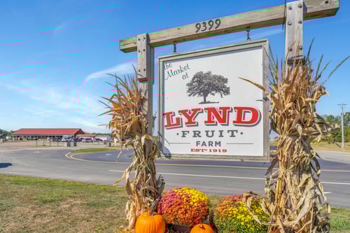 Ponds at Hazelton Crossing by Rockford Homes