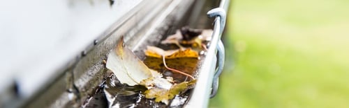 Water Damage Restoration 1 Reno-Tahoe