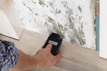 mold testing baton rouge