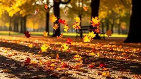 Image - fall