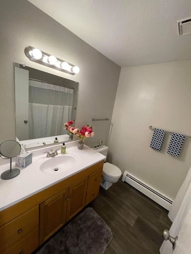 Apple Tree Apartments - Cozy Bathroom with Vanity