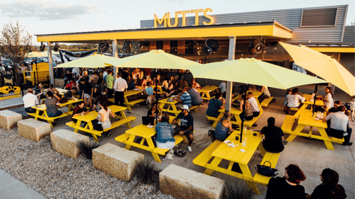 Mutts Canine Cantina - Dog Park & Restuarant