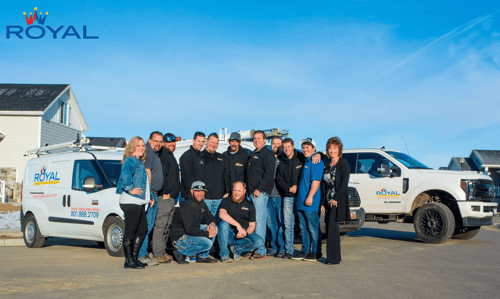 Our team members