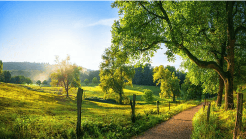 Image of a Spring Sunrise across a field