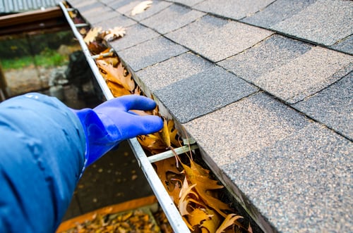 water damage greater charlotte