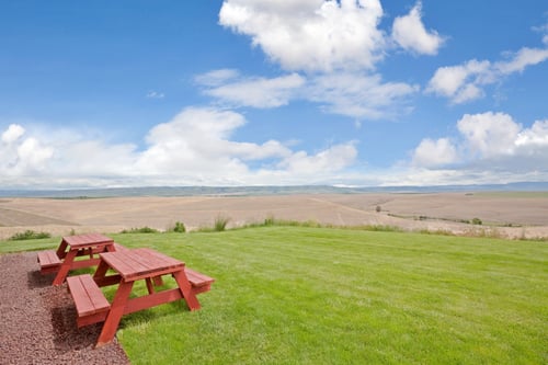 Beautiful Green Grounds with view of Blue Mountains