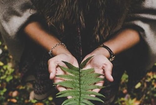 A person gently holds a vibrant green fern leaf in their hands, wearing bracelets and a watch. The setting is outdoors, conveying a sense of tranquility.