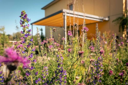 Terrassenüberdachung: Artenreich Bolinger Gärten AG, Naturgarten Gestaltung, Verwirklichung, Betreuung, 8302 Kloten im Kanton Zürich