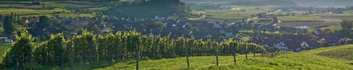 Dorf ZH