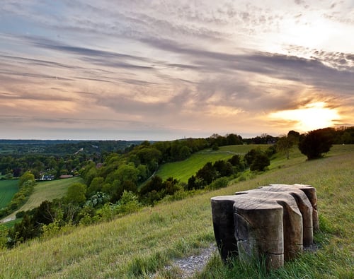Knight Frank Guildford Estate Agents - office page banner image