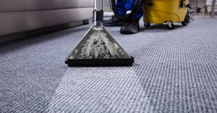 A highly-trained technician performing professional, deep steam carpet cleaning in a home living room in Northwest Cobb.
