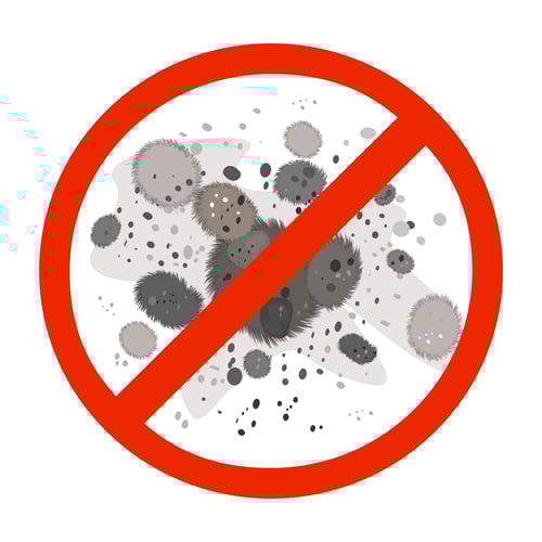 Commercial odor, is it mold?